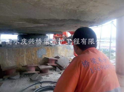 ���L���\����֧���{��